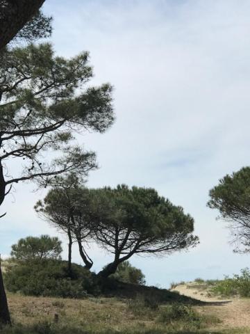 Oh! Campings - La Tamarissière Agde Esterno foto